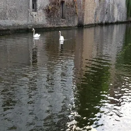 Spacious Coastal Апартаменты