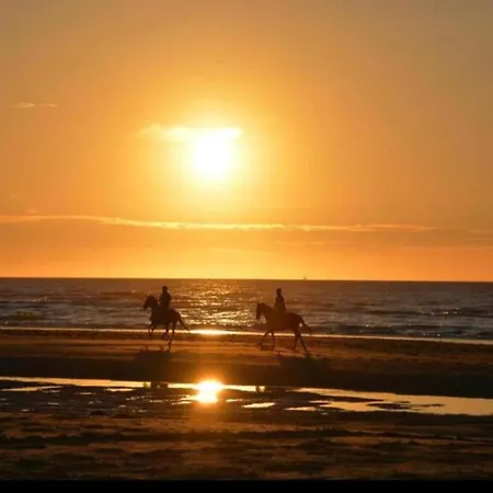 شقة Spacious Coastal دي هان